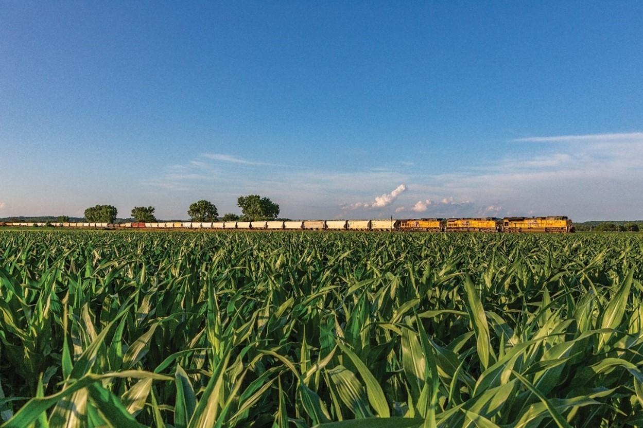 Manifest train passes a corn field in Midland, Kansas. | LR